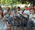 IMG-20250514-WA0001